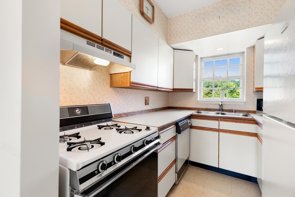 173 Lake Shore Road, Unit 3 Boston, MA 02135 - Photo 17 of 41 Gallery Image 17