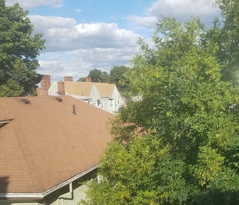 102 Ellery Street, Unit 2 Cambridge, MA 02138 - Photo 7 of 11