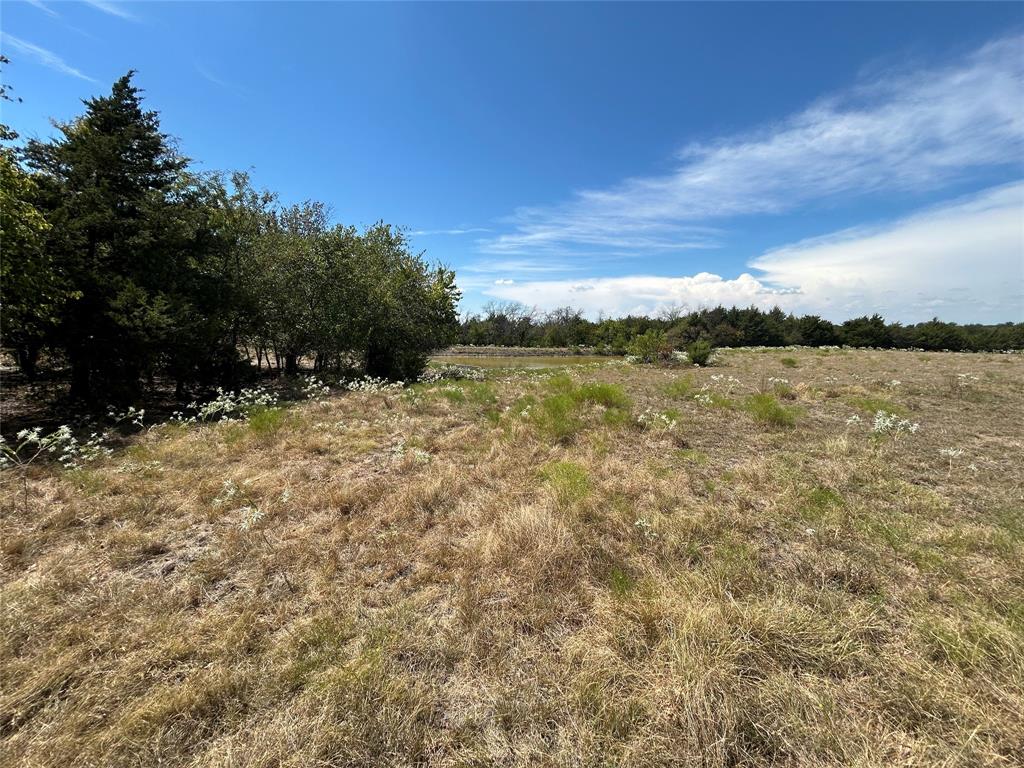Tbd Lone Tree Road Nevada, TX 75173 - Photo 6 of 11 Gallery Image 6