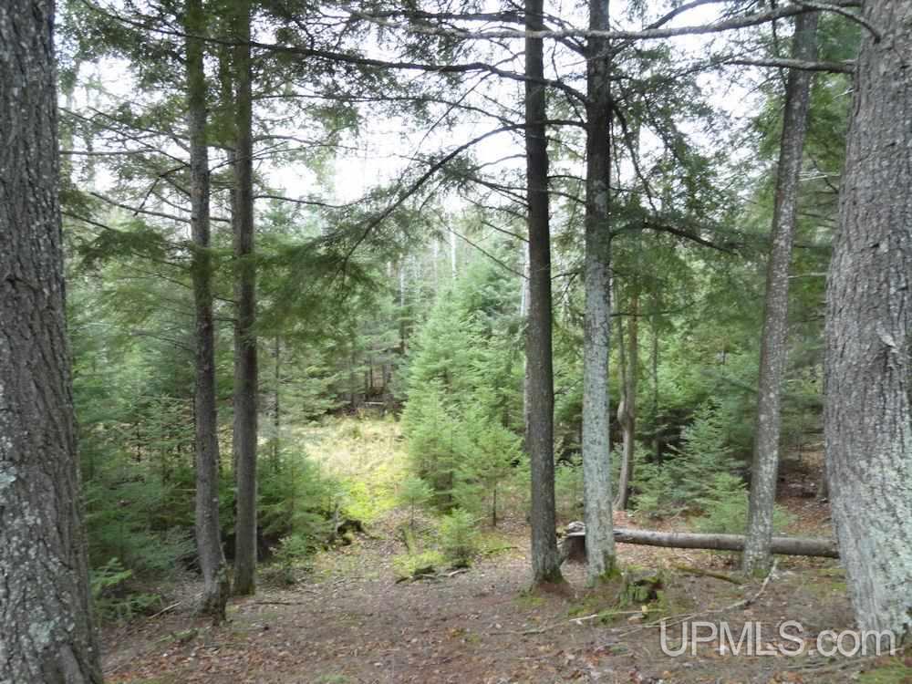6784 32nd Road Rapid River, MI 49878 - Photo 21 of 36 Gallery Image 21