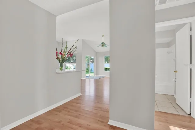 a view of a hallway with wooden floor and a potted plant