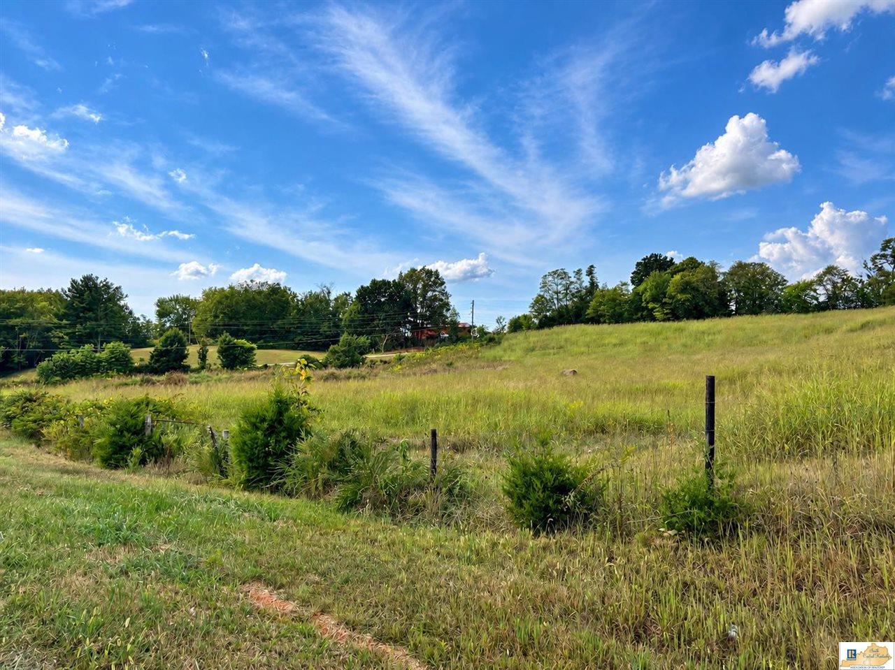 Roseville Road Glasgow, KY 42141 - Photo 2 of 14 Gallery Image 2