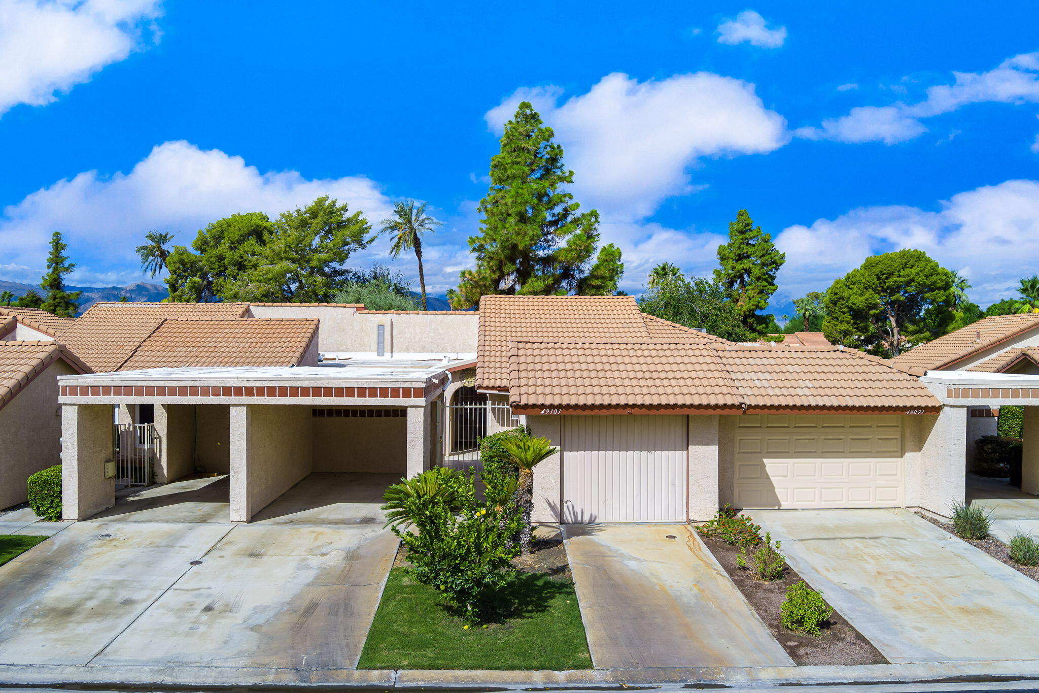 a front view of a house with a garden and plants
