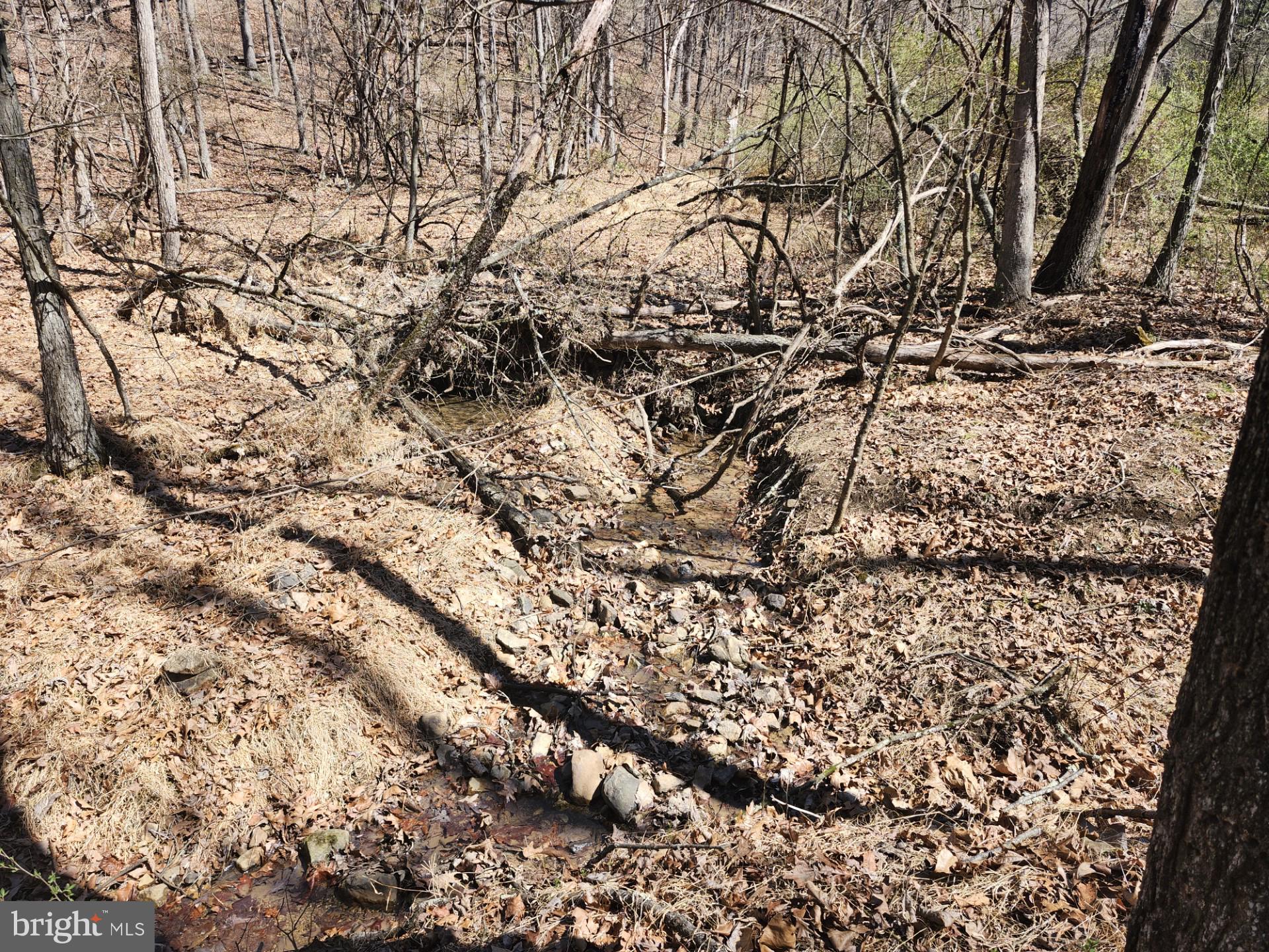 A J Kelley Road Old Fields, WV 26845 - Photo 29 of 65