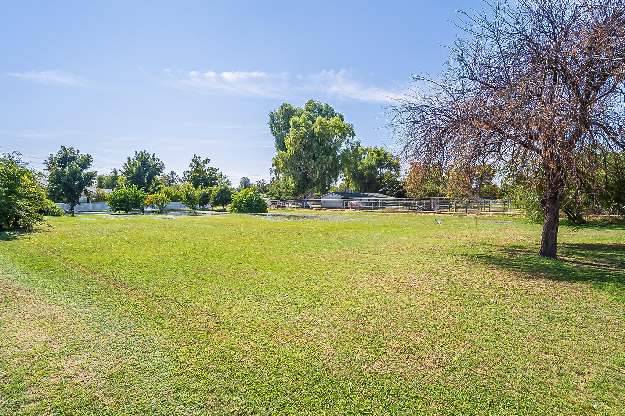 3348 East Redfield Road Gilbert, AZ 85234 - Photo 35 of 53 Redfield-38