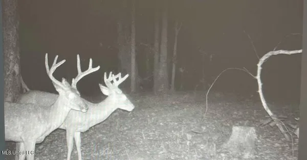 $299,600 | Grove-meeks Road Cruger Ms 38924, Cruger, MS 38924