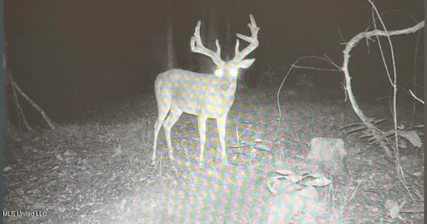 $299,600 | Grove-meeks Road Cruger Ms 38924, Cruger, MS 38924