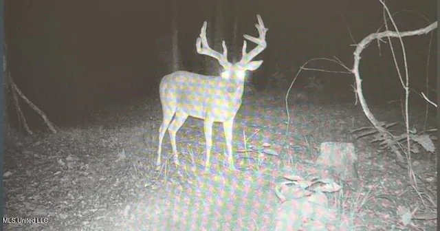 $299,600 | Grove-meeks Road Cruger Ms 38924, Cruger, MS 38924