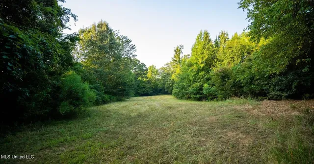 $299,600 | Grove-meeks Road Cruger Ms 38924, Cruger, MS 38924