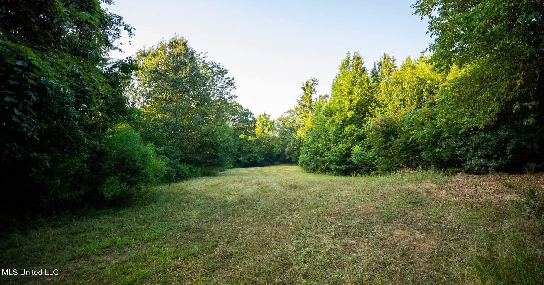 Grove-meeks Road Cruger Ms 38924 Cruger, MS 38924 - Photo 5 of 5 IMG_0199