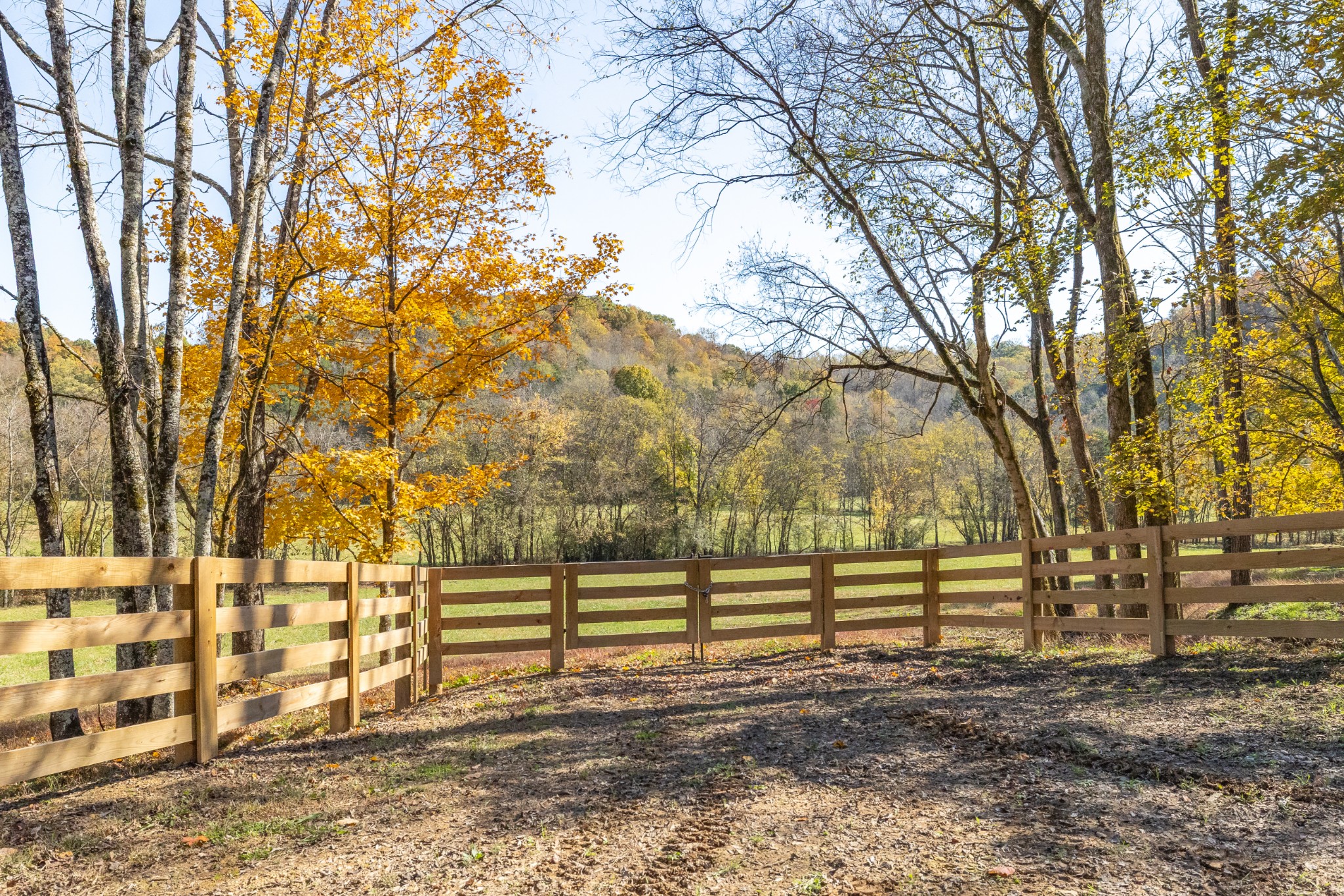 2 Tallent Road Pulaski, TN 38478 - Photo 9 of 39 a view of backyard with large trees