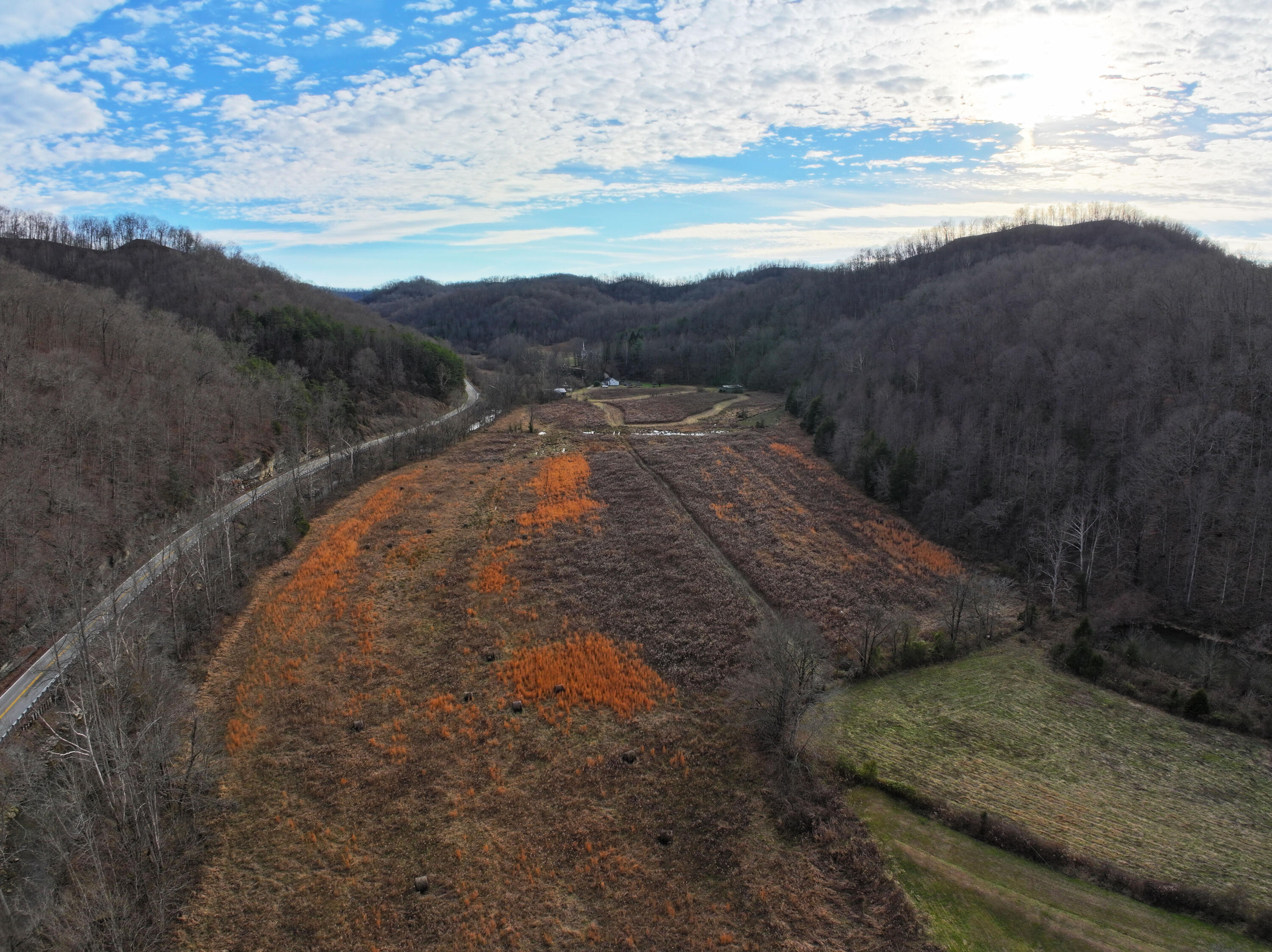 91 Quinton Callahan Road Booneville, KY 41314 - Photo 38 of 39 Once you breathe the air, you will never want to leave!