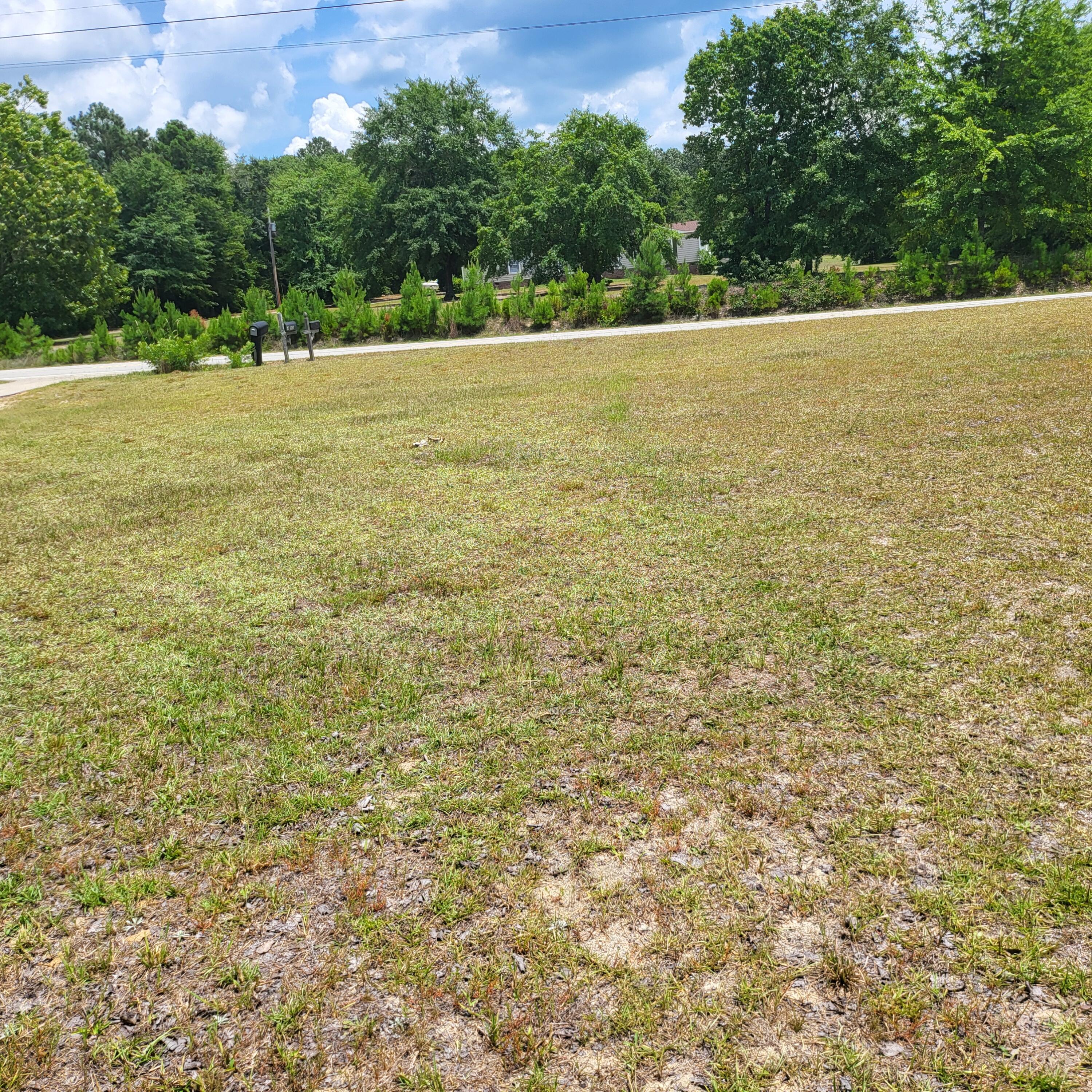 4091 Columbia Highway North Ridge Spring, SC 29129 - Photo 22 of 25 1000023429