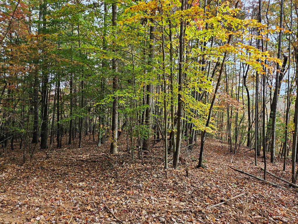 125 Ahart Ridge Road, Unit 381001 Cana, VA 24317 - Photo 22 of 59 Gallery Image 22