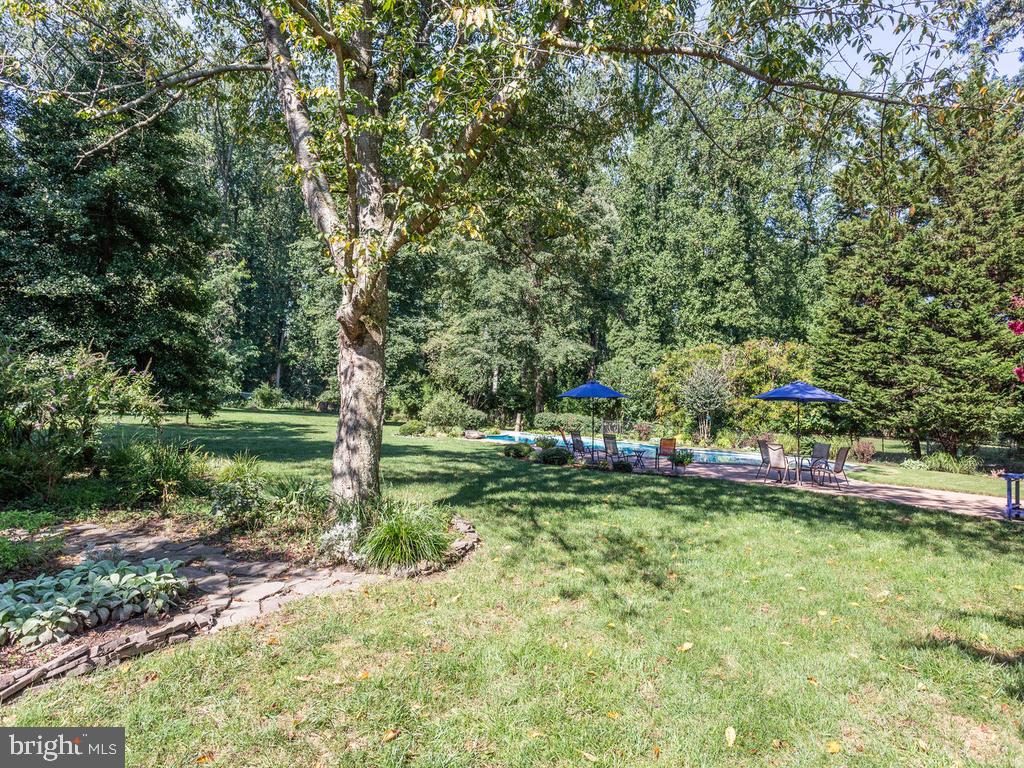 1550 Shipsview Road Annapolis, MD 21409 - Photo 50 of 62 Room to Roam