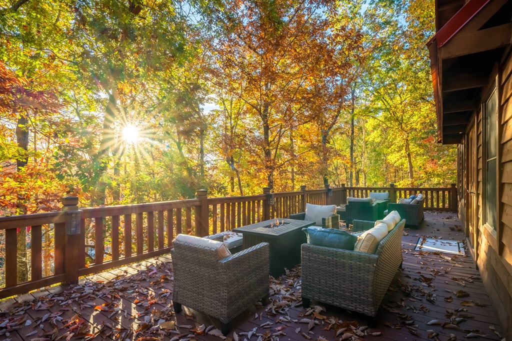 218 Mattie Mitchell Road Morganton, GA 30560 - Photo 12 of 97