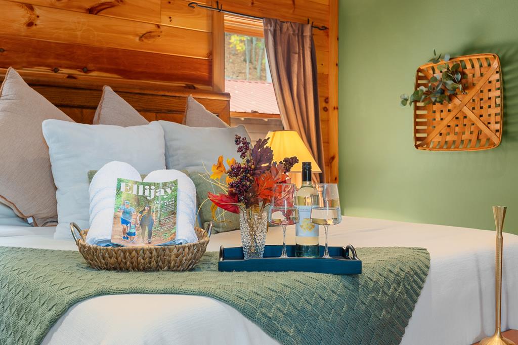 218 Mattie Mitchell Road Morganton, GA 30560 - Photo 28 of 97