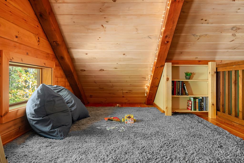 218 Mattie Mitchell Road Morganton, GA 30560 - Photo 36 of 97