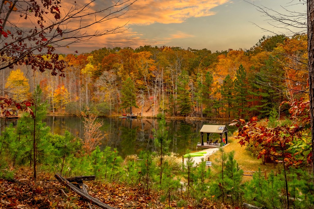 218 Mattie Mitchell Road Morganton, GA 30560 - Photo 55 of 97