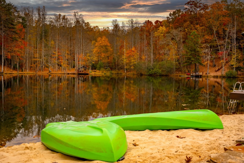 218 Mattie Mitchell Road Morganton, GA 30560 - Photo 58 of 97