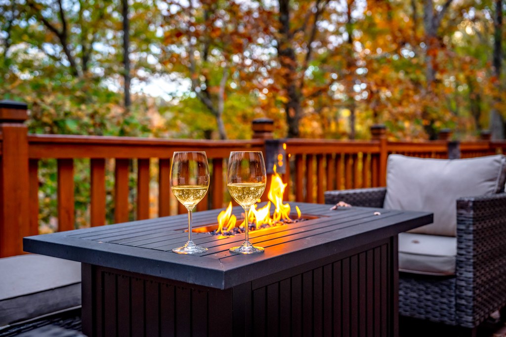 218 Mattie Mitchell Road Morganton, GA 30560 - Photo 63 of 97