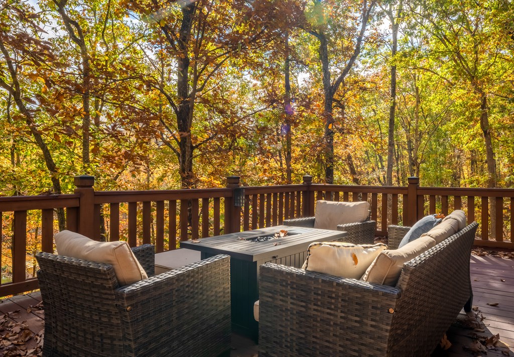 218 Mattie Mitchell Road Morganton, GA 30560 - Photo 65 of 97