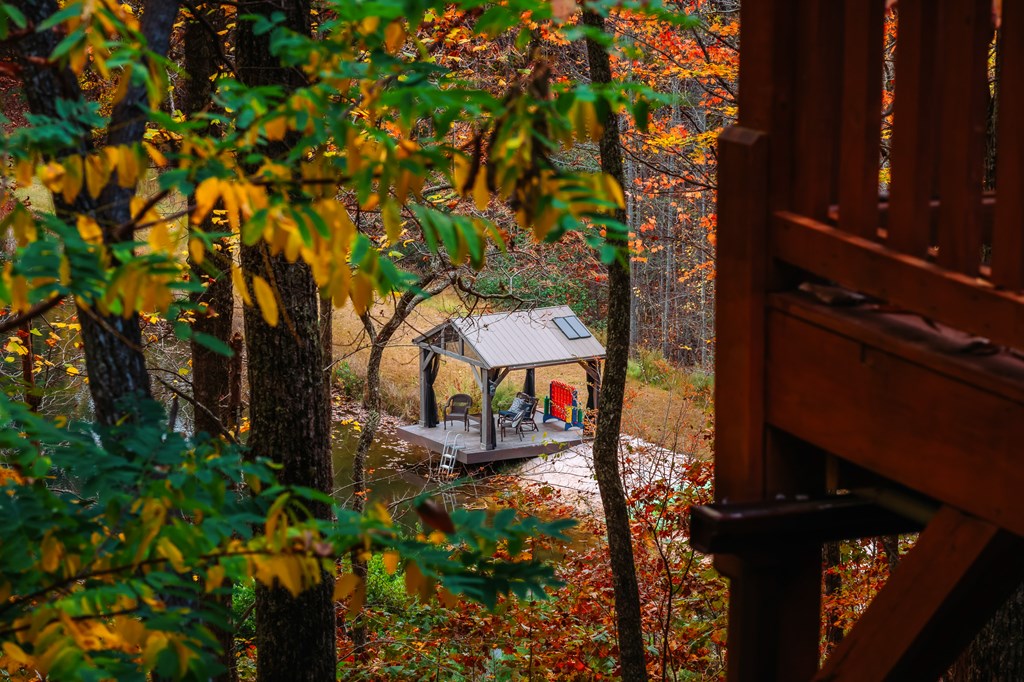 218 Mattie Mitchell Road Morganton, GA 30560 - Photo 66 of 97