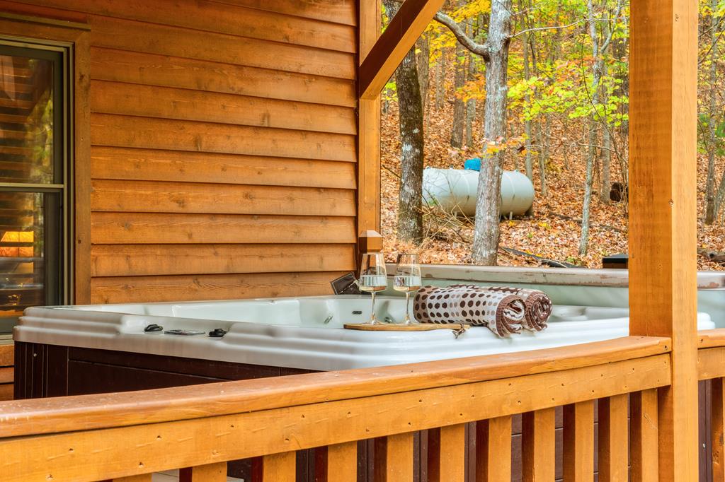 218 Mattie Mitchell Road Morganton, GA 30560 - Photo 68 of 97