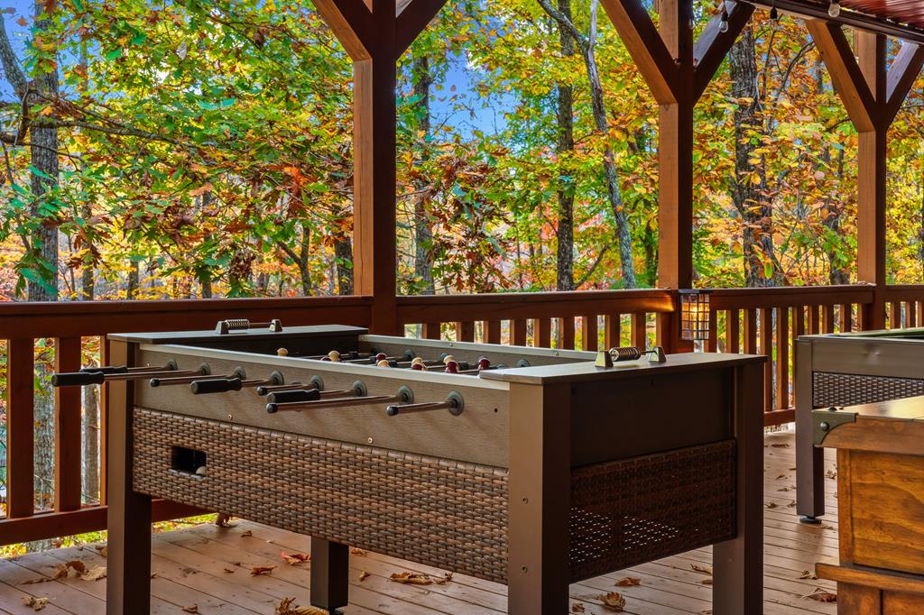 218 Mattie Mitchell Road Morganton, GA 30560 - Photo 69 of 97