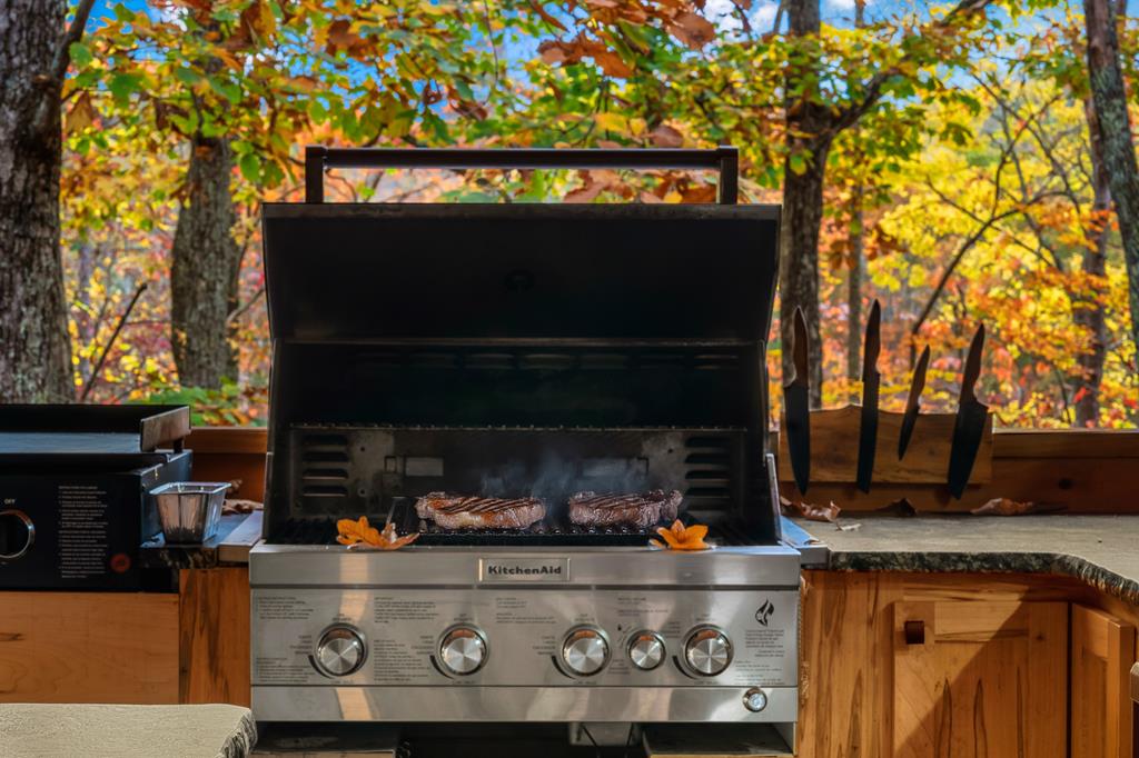 218 Mattie Mitchell Road Morganton, GA 30560 - Photo 73 of 97