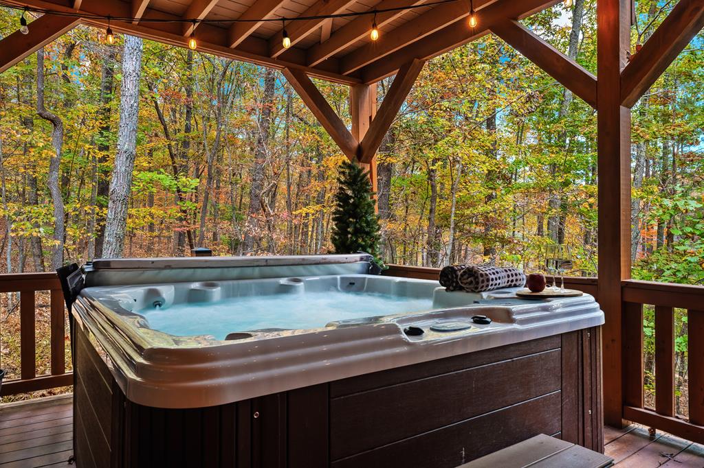 218 Mattie Mitchell Road Morganton, GA 30560 - Photo 87 of 97