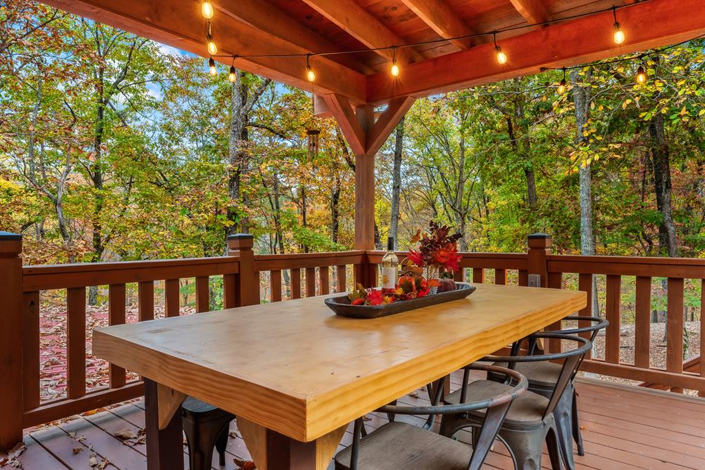 218 Mattie Mitchell Road Morganton, GA 30560 - Photo 94 of 97