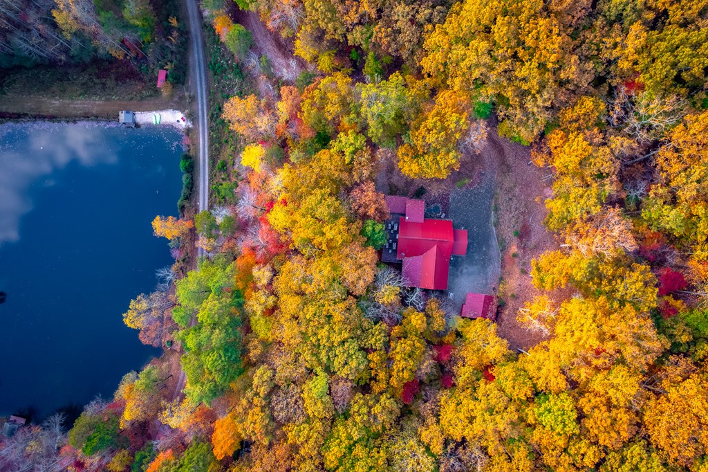 218 Mattie Mitchell Road Morganton, GA 30560 - Photo 96 of 97