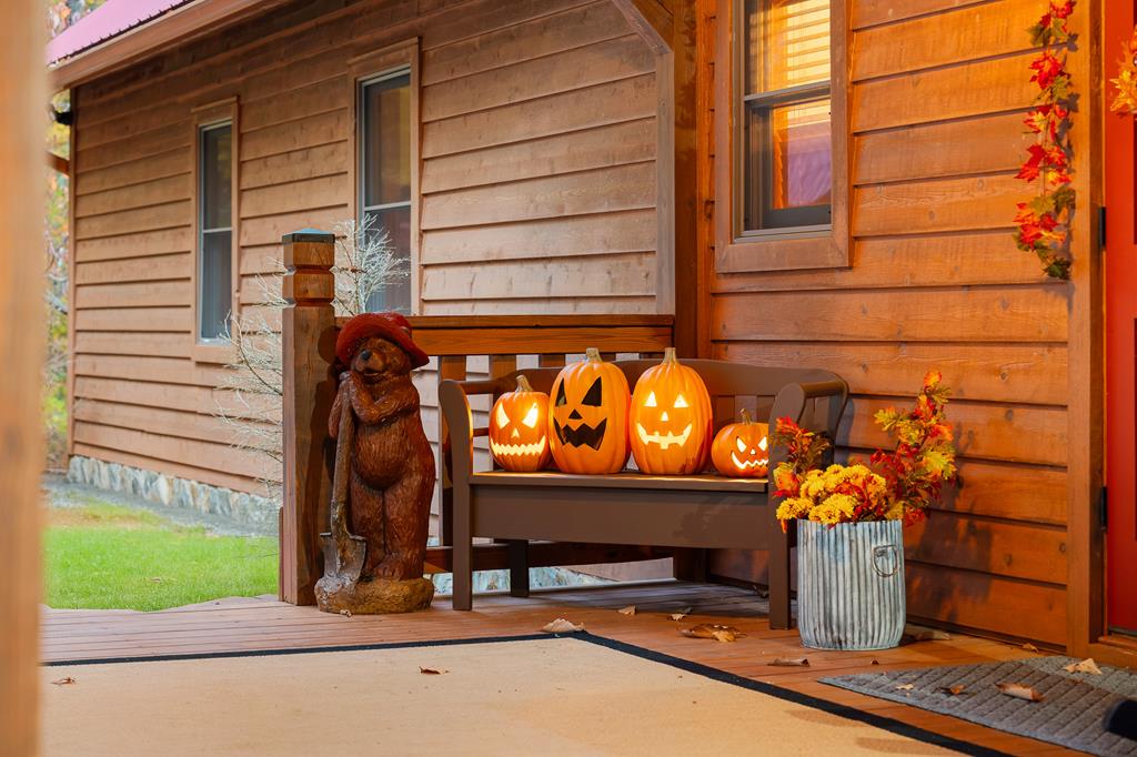 218 Mattie Mitchell Road Morganton, GA 30560 - Photo 97 of 97