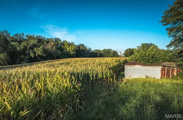 $1,035,168 | 23696 Range Line Road, Jerseyville, IL 62052