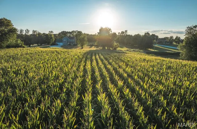 $1,035,168 | 23696 Range Line Road, Jerseyville, IL 62052