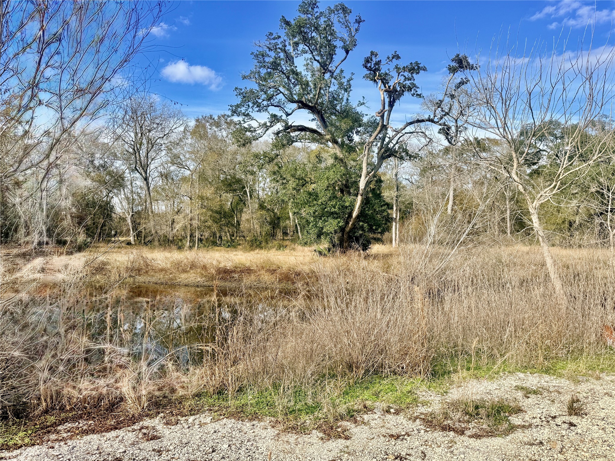6944 County Road 359 Sweeny, TX 77480 - Photo 5 of 17 a view of a yard covered with snow