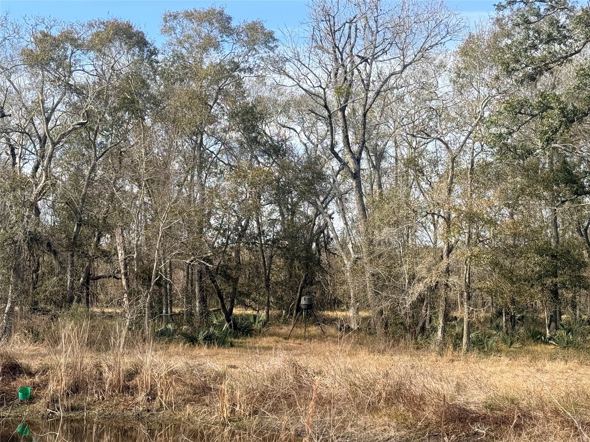 6944 County Road 359 Sweeny, TX 77480 - Photo 6 of 17 a backyard of a house with lots of trees