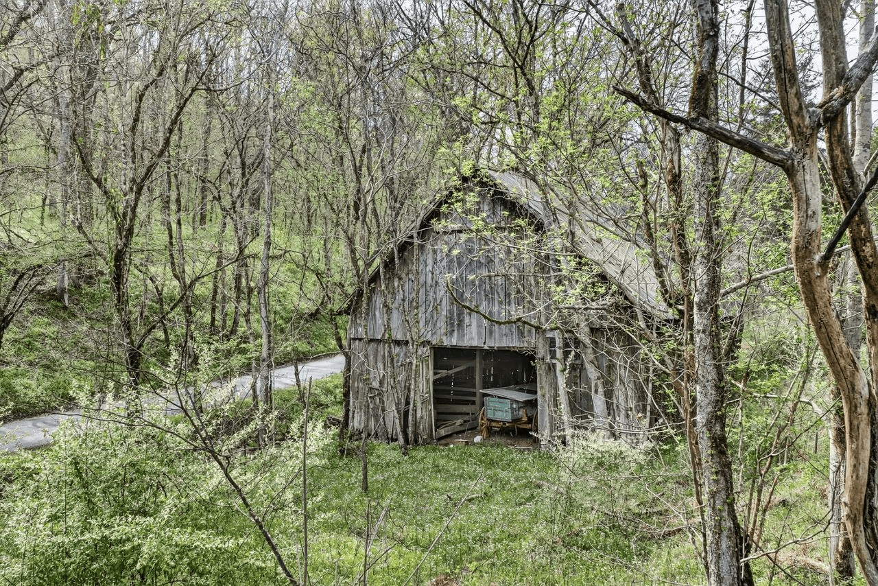 416 Hix Hollow Road Gainesboro, TN 38562 - Photo 8 of 10
