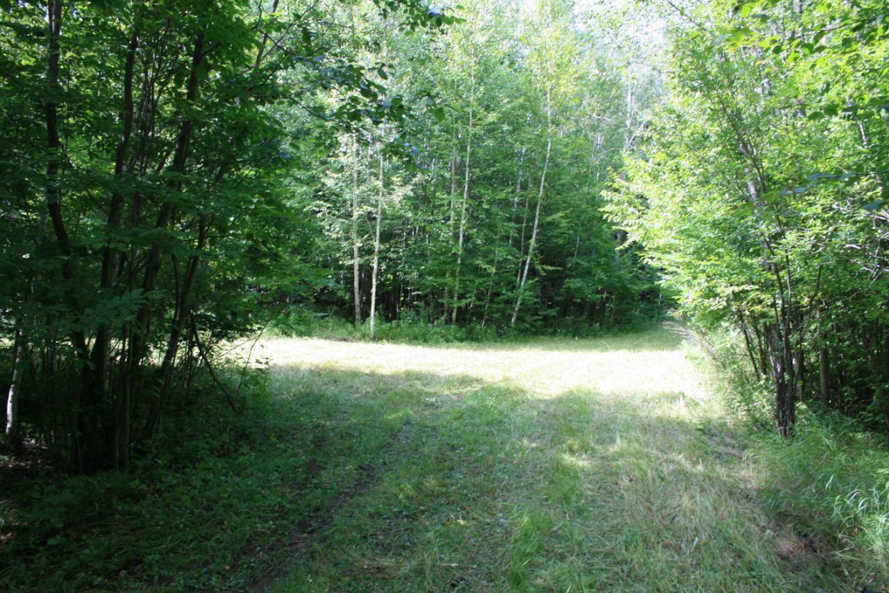 On Berry Road Phillips, WI 54555 - Photo 10 of 30 Gallery Image 10