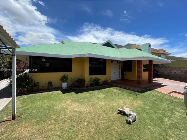 a view of a potted flower in the pathway