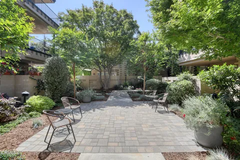 a view of backyard with furniture and plants