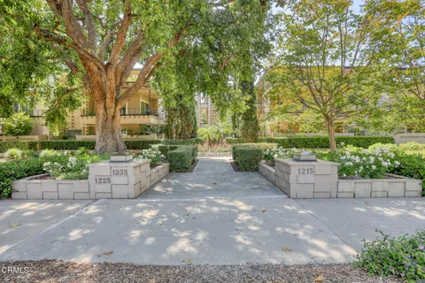 a view of a backyard with large trees and plants