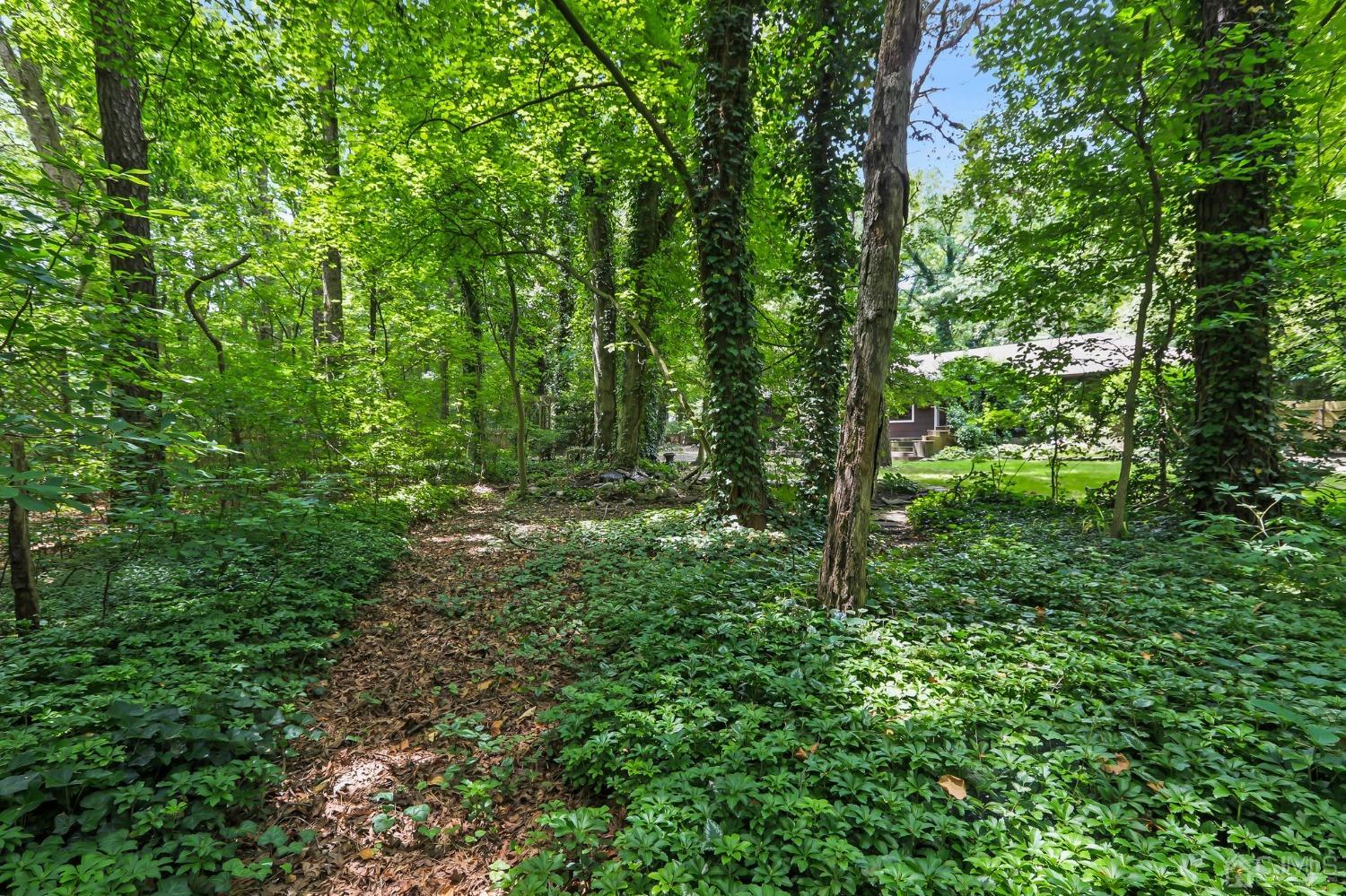 111 Old Forge Road Monroe Township, NJ 08831 - Photo 30 of 39 a view of outdoor space and green space