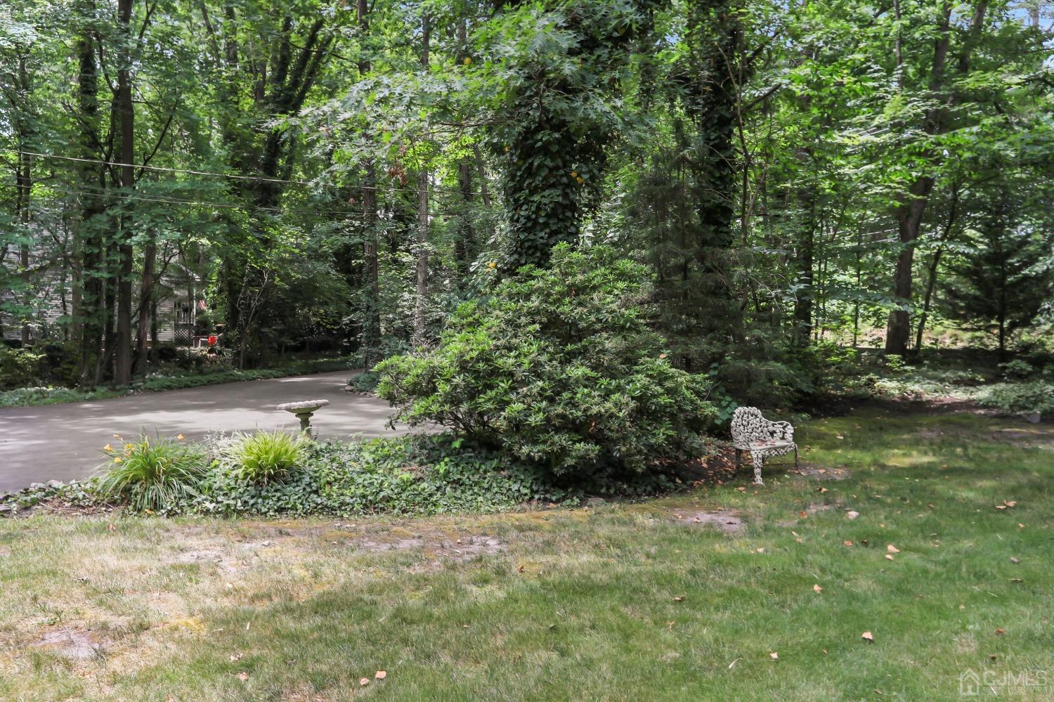 111 Old Forge Road Monroe Township, NJ 08831 - Photo 34 of 39 a view of backyard with outdoor space