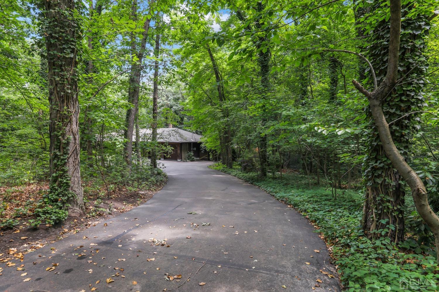 111 Old Forge Road Monroe Township, NJ 08831 - Photo 38 of 39 a view of a street with large trees