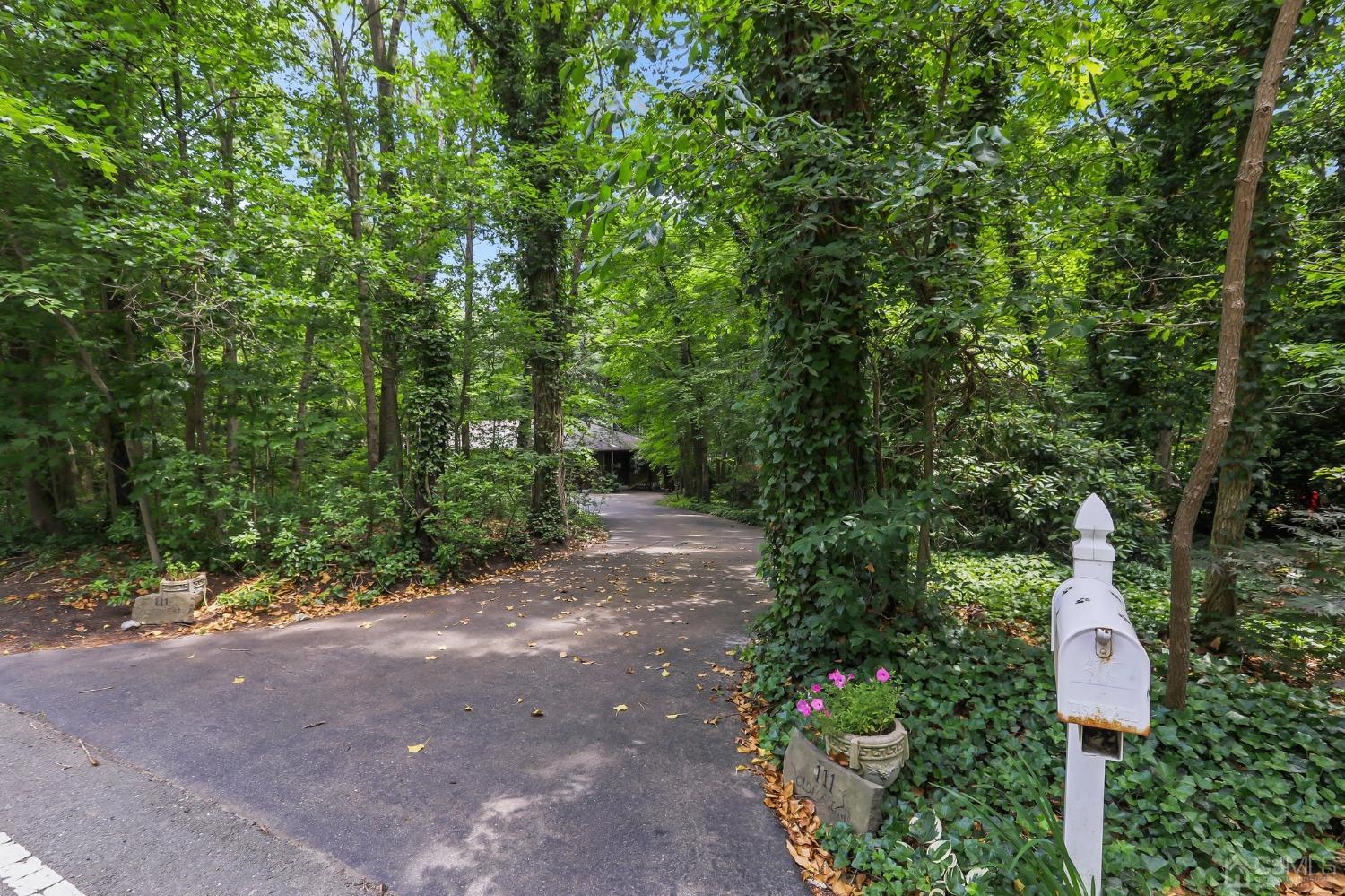 111 Old Forge Road Monroe Township, NJ 08831 - Photo 39 of 39 a view of a yard with plants and large trees