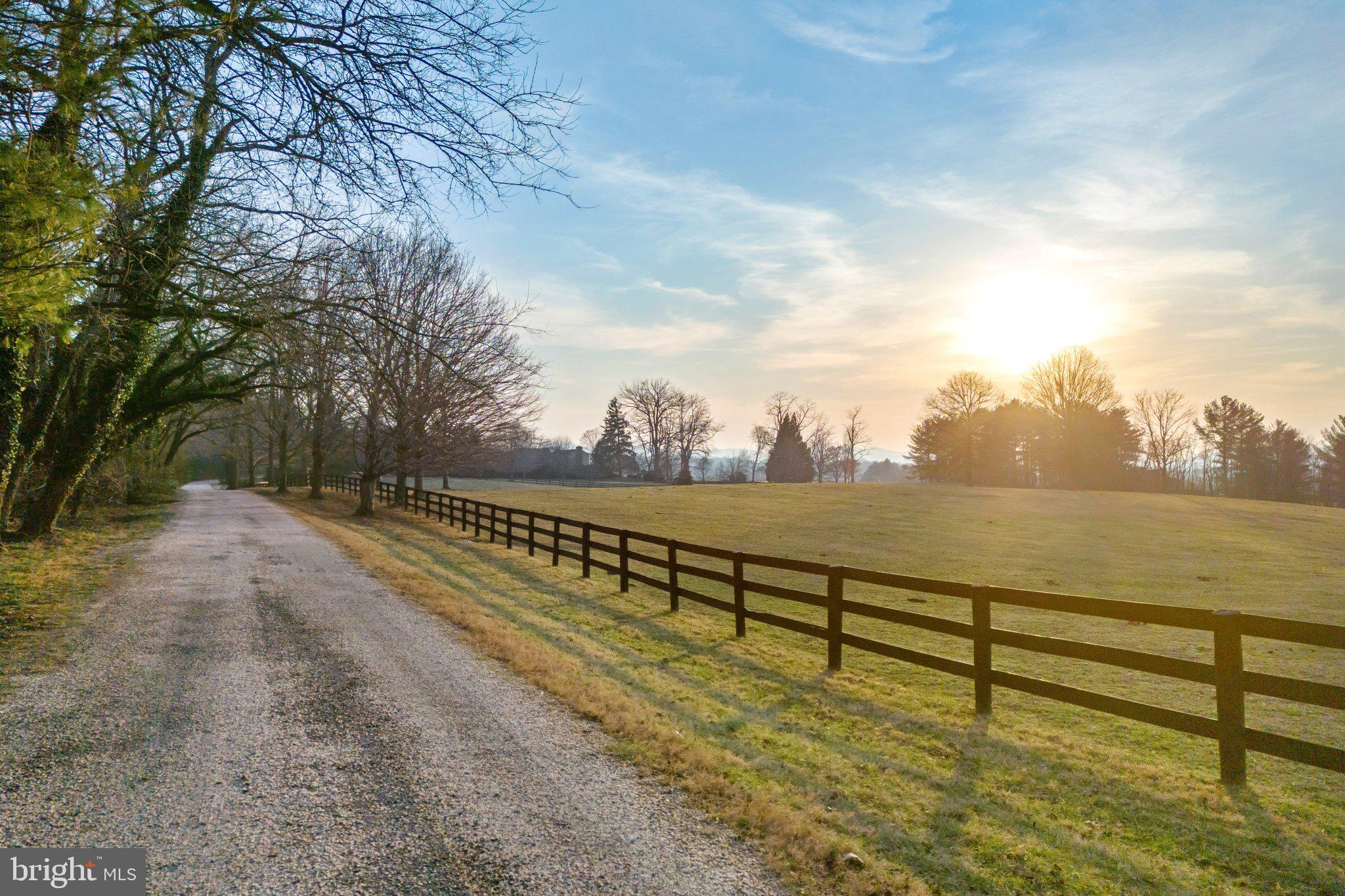3050 Rectortown Road Marshall, VA 20115 - Photo 16 of 138