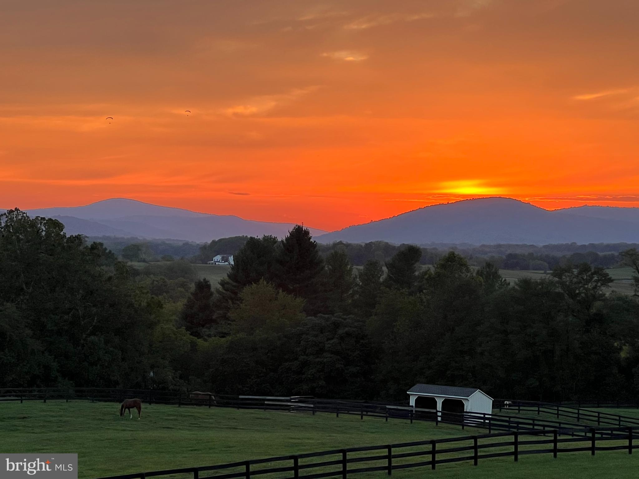 3050 Rectortown Road Marshall, VA 20115 - Photo 2 of 138 Stunning views