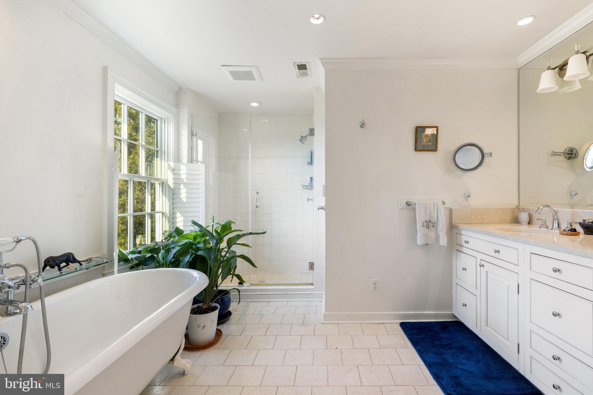 3050 Rectortown Road Marshall, VA 20115 - Photo 81 of 138 Primary Suite bathroom